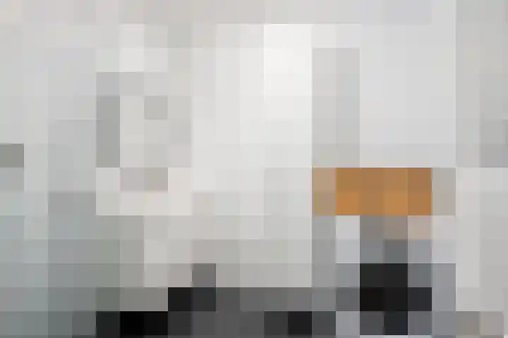 Kobelaan 25 Rotterdam thumbnail 17