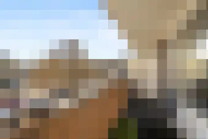 Kobelaan 25 Rotterdam thumbnail 6