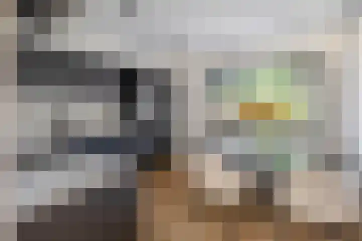Kobelaan 292 Rotterdam thumbnail 19