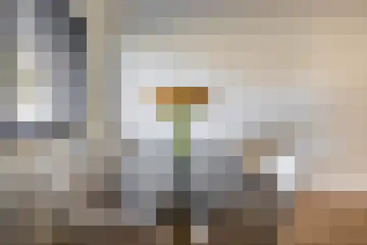 Kobelaan 292 Rotterdam thumbnail 20
