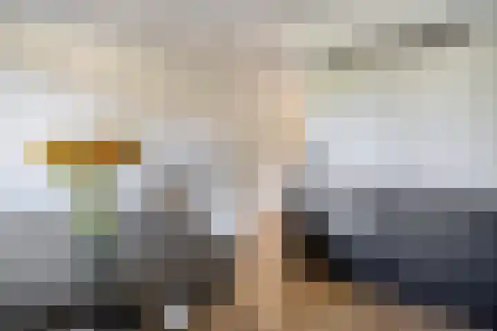 Kobelaan 292 Rotterdam thumbnail 21