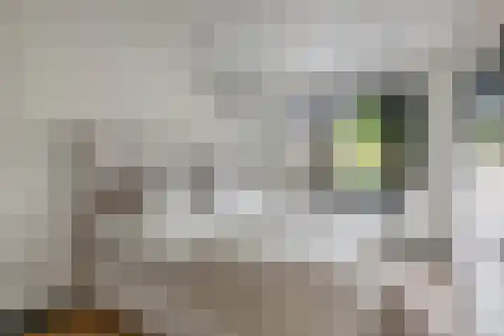 Kobelaan 292 Rotterdam thumbnail 25