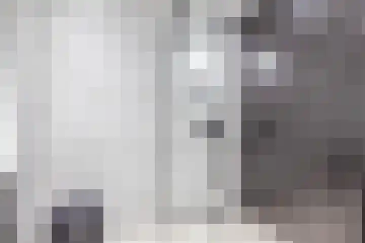 Kobelaan 292 Rotterdam thumbnail 27