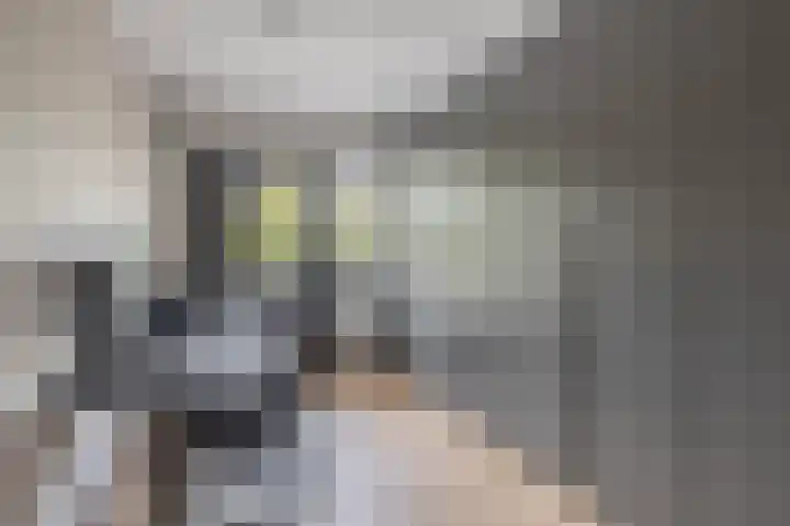 Kobelaan 292 Rotterdam thumbnail 30