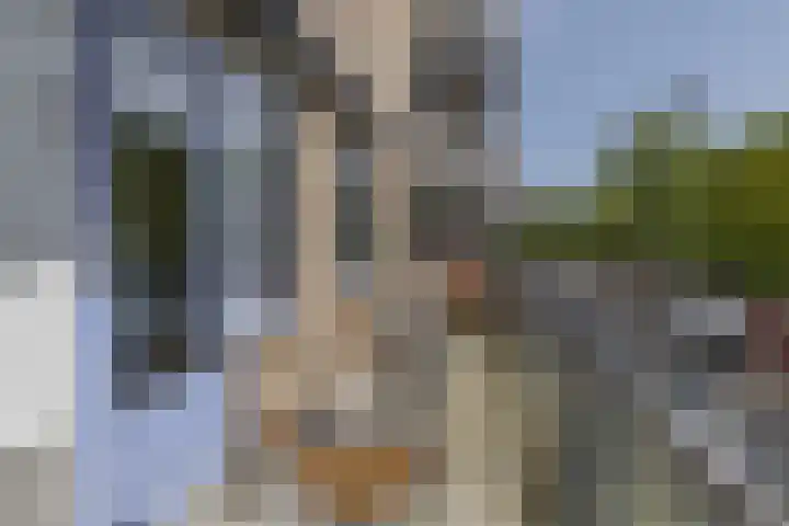Kobelaan 292 Rotterdam thumbnail 34
