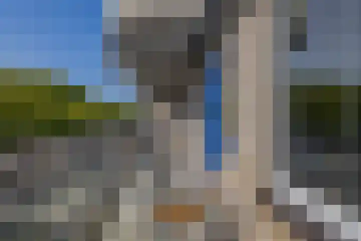 Kobelaan 292 Rotterdam thumbnail 35