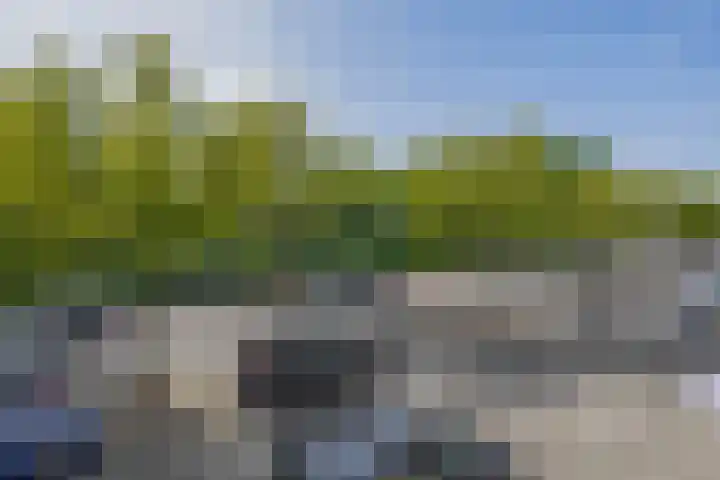 Kobelaan 292 Rotterdam thumbnail 36