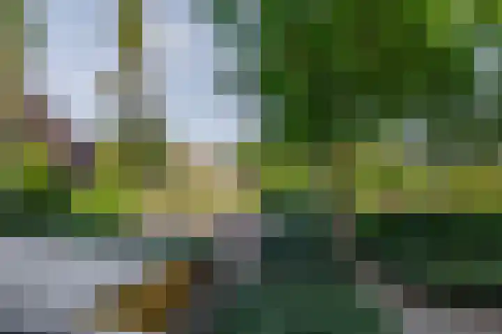 Kobelaan 292 Rotterdam thumbnail 37