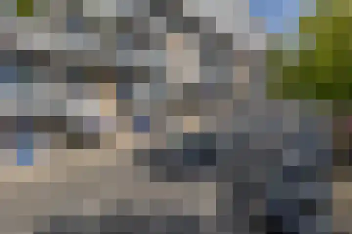 Kobelaan 292 Rotterdam thumbnail 38