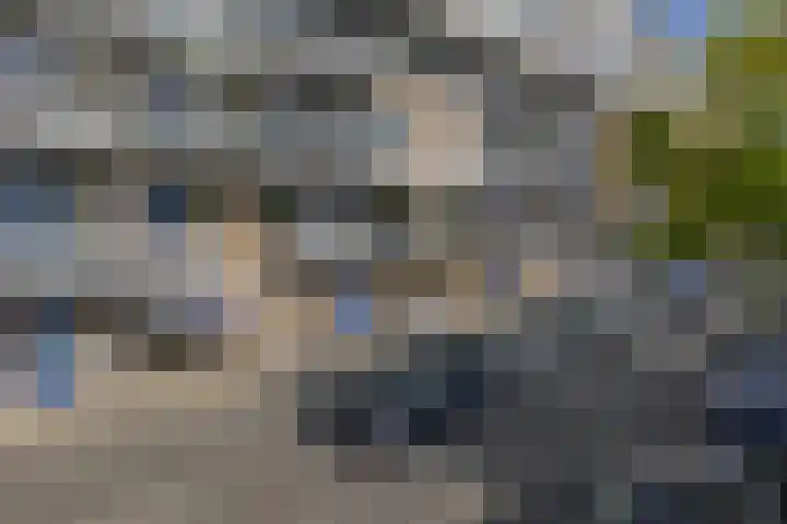 Kobelaan 292 Rotterdam thumbnail 39