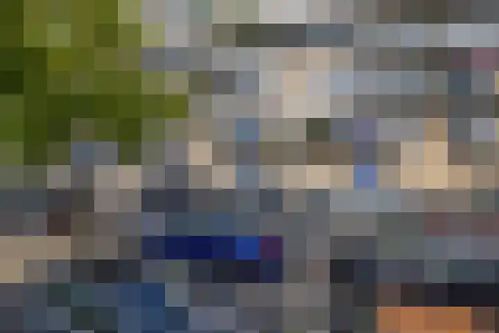 Kobelaan 292 Rotterdam thumbnail 41