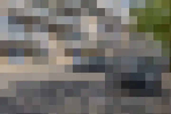 Kobelaan 292 Rotterdam thumbnail 49