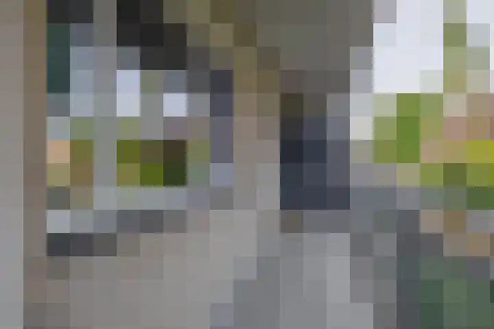 Kobelaan 292 Rotterdam thumbnail 8