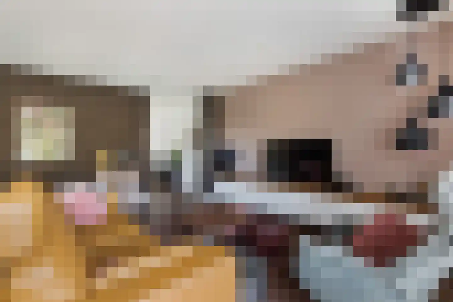 Kobelaan 304 Rotterdam thumbnail 11