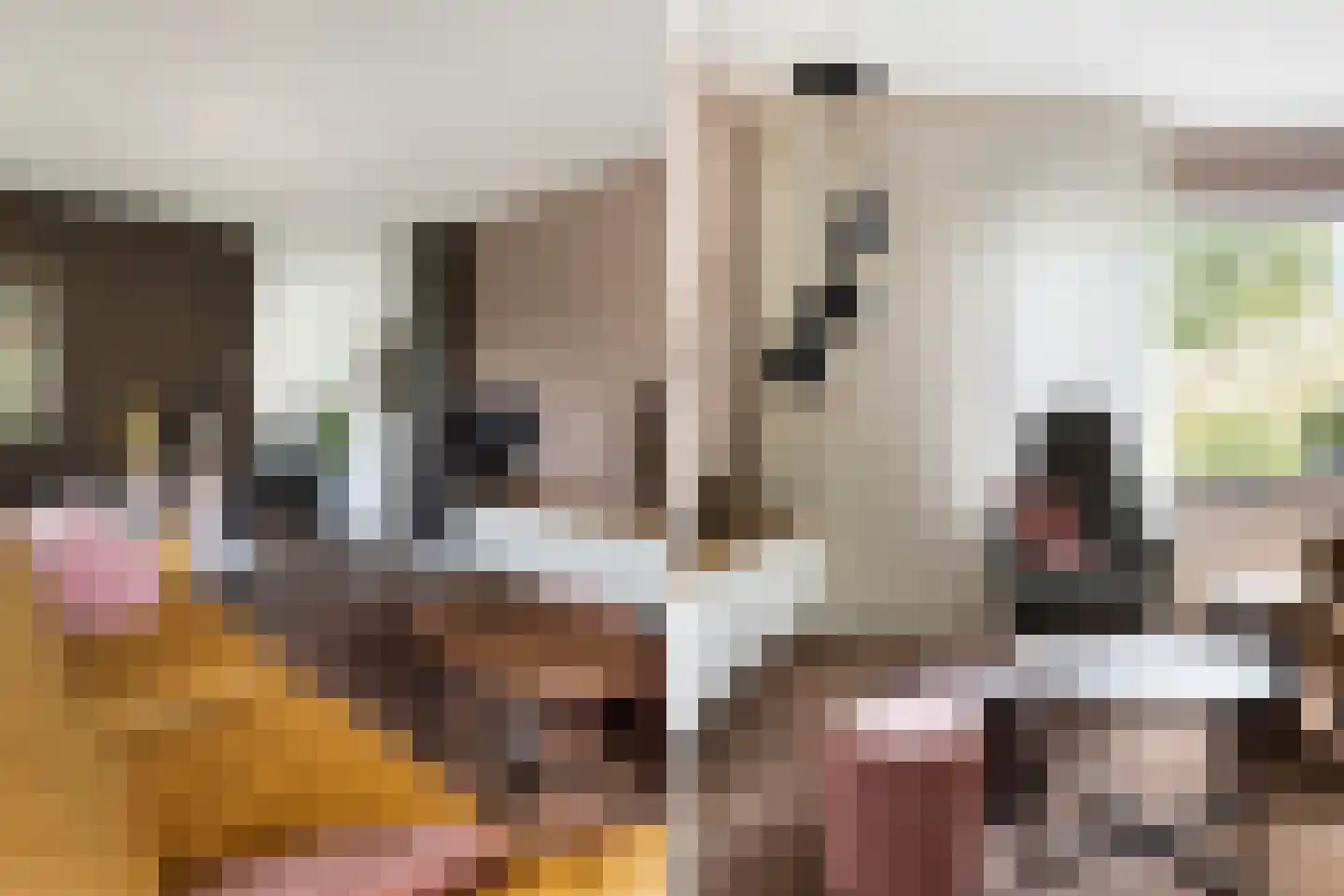 Kobelaan 304 Rotterdam thumbnail 14