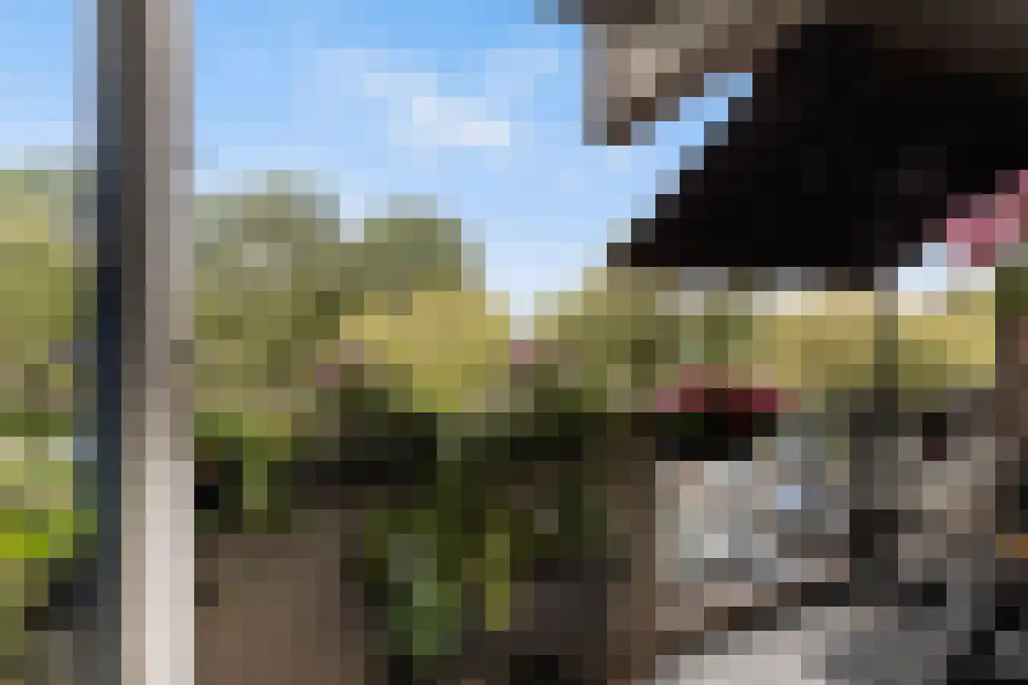 Kobelaan 304 Rotterdam thumbnail 23
