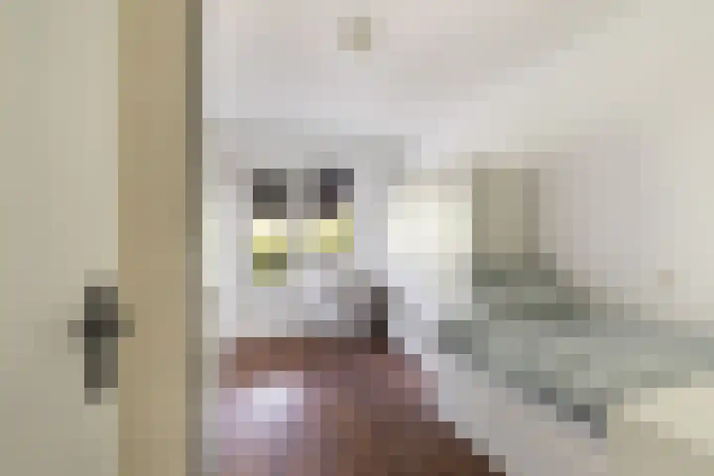 Kobelaan 304 Rotterdam thumbnail 28