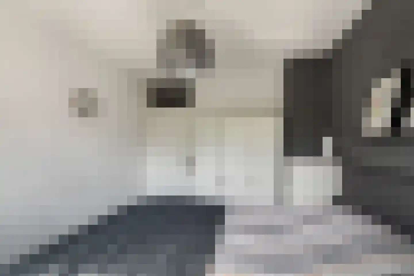 Kobelaan 304 Rotterdam thumbnail 33