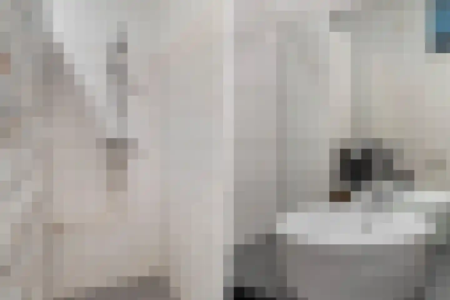 Kobelaan 304 Rotterdam thumbnail 36