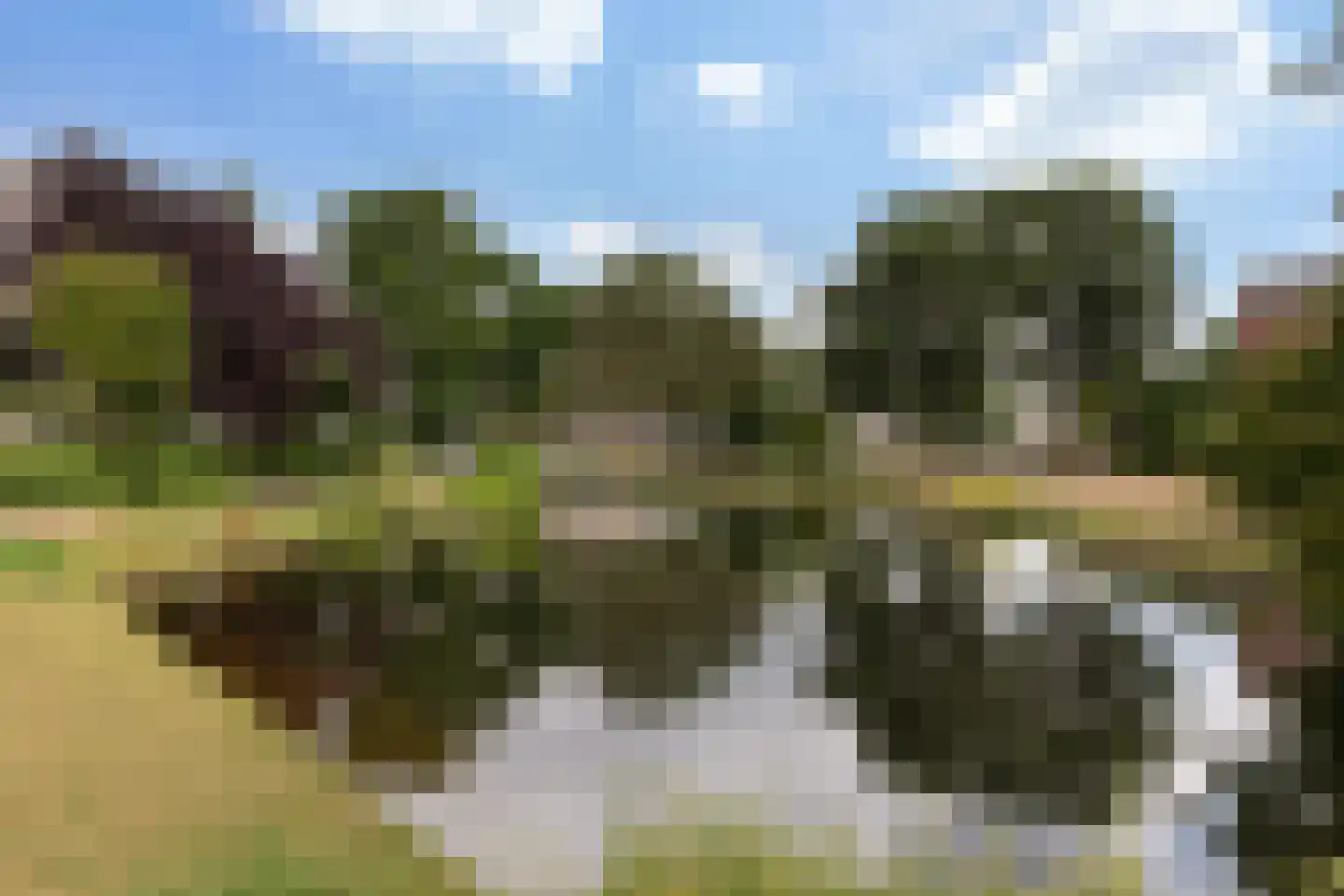 Kobelaan 304 Rotterdam thumbnail 37