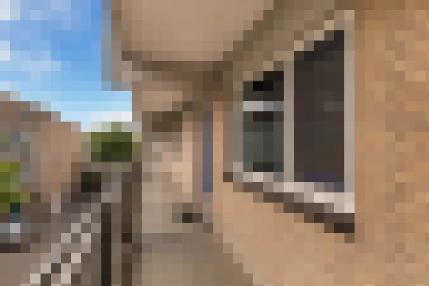 Kobelaan 304 Rotterdam thumbnail 5