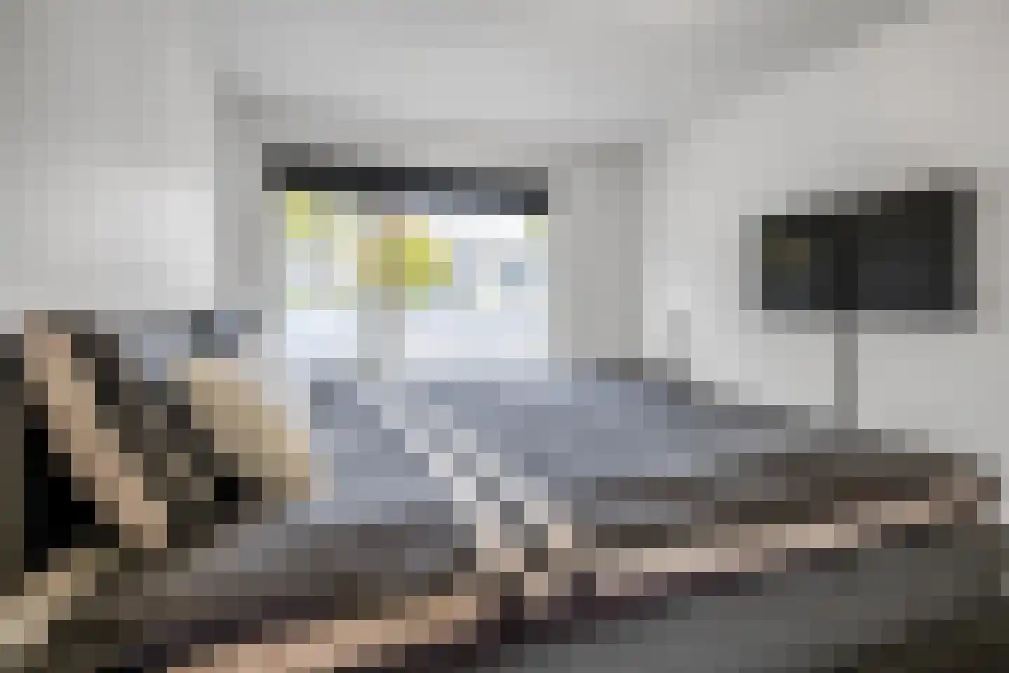 Kobelaan 36 Rotterdam thumbnail 14