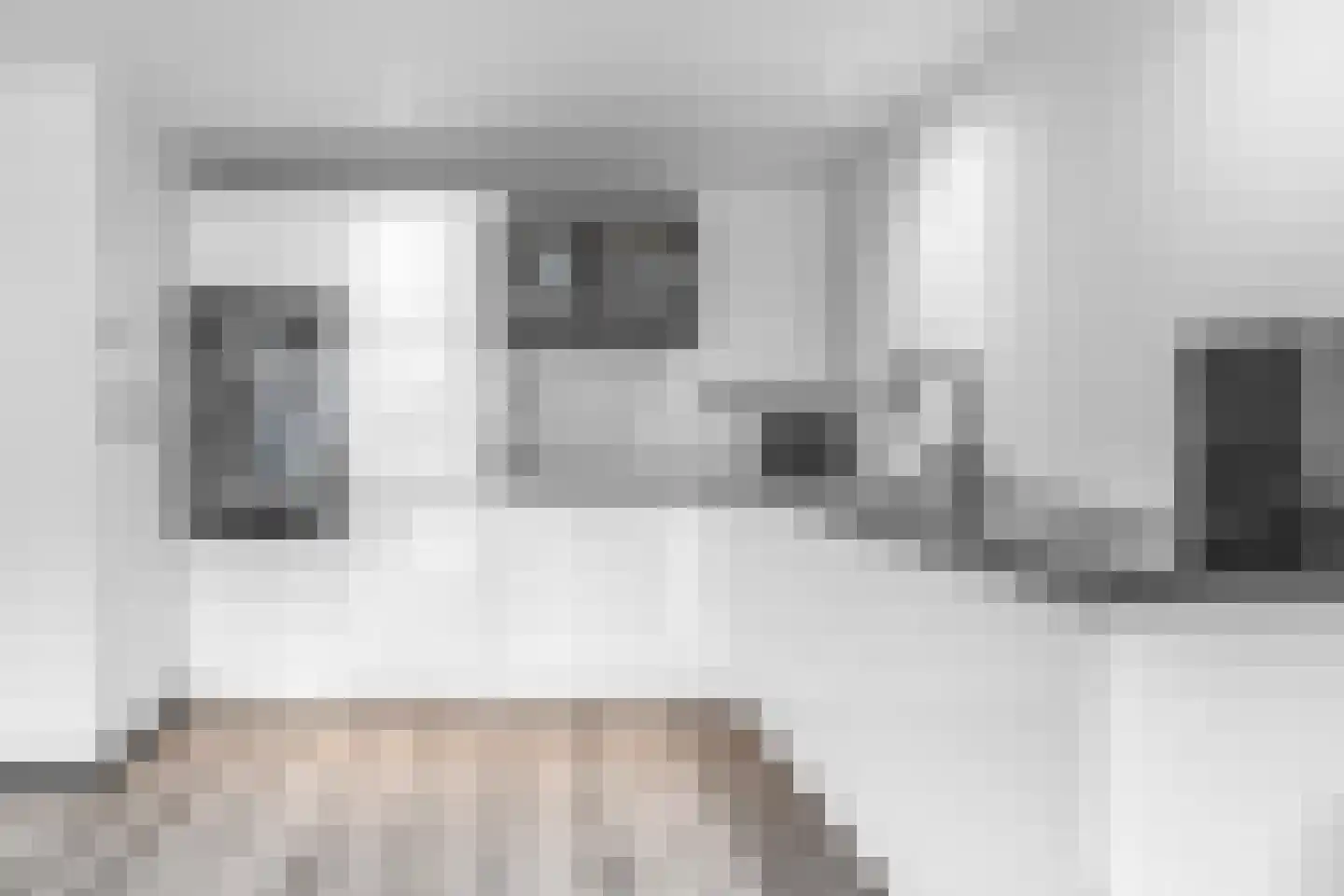 Kobelaan 36 Rotterdam thumbnail 5