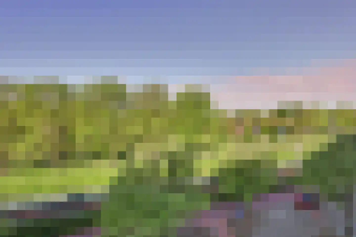 Kobelaan 374 Rotterdam thumbnail 28