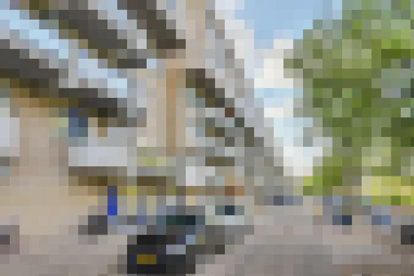 Kobelaan 374 Rotterdam thumbnail 32