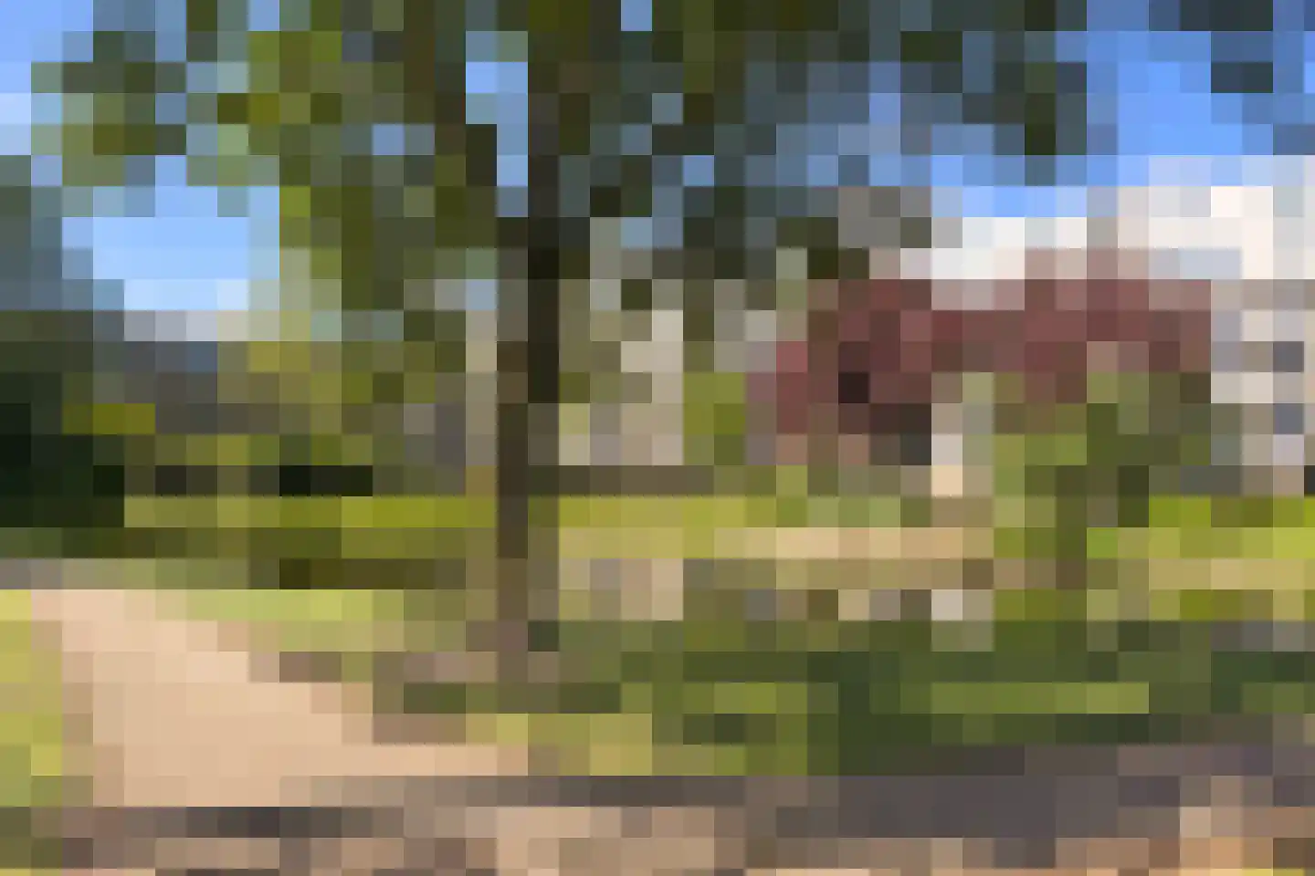 Kobelaan 374 Rotterdam thumbnail 33