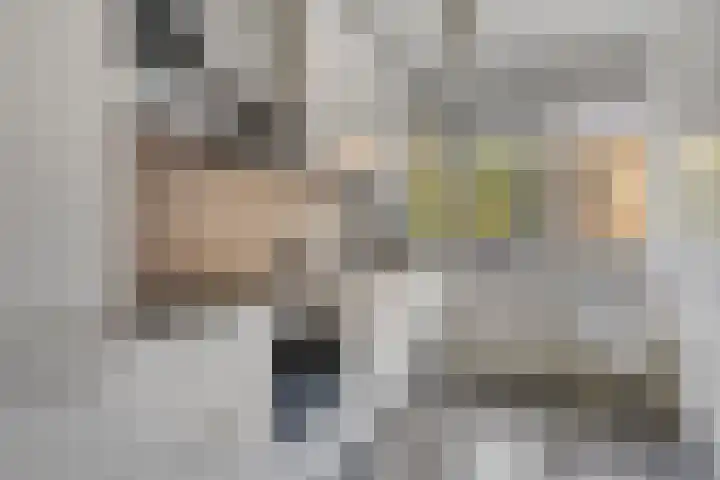 Kobelaan 382 Rotterdam thumbnail 15