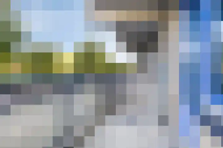 Kobelaan 382 Rotterdam thumbnail 30