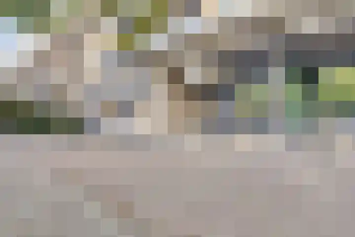 Kobelaan 382 Rotterdam thumbnail 31
