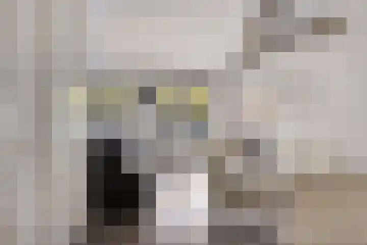 Kobelaan 382 Rotterdam thumbnail 6