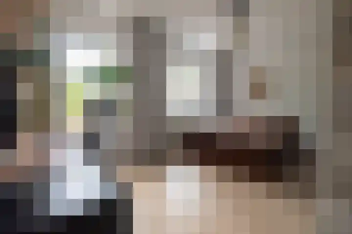 Kobelaan 394 Rotterdam thumbnail 11