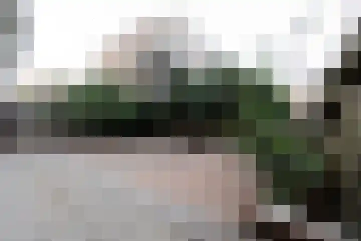 Kobelaan 394 Rotterdam thumbnail 12