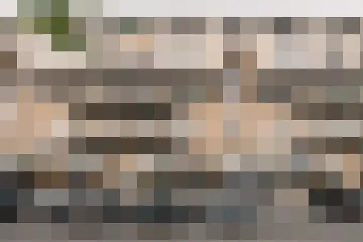 Kobelaan 394 Rotterdam thumbnail 27