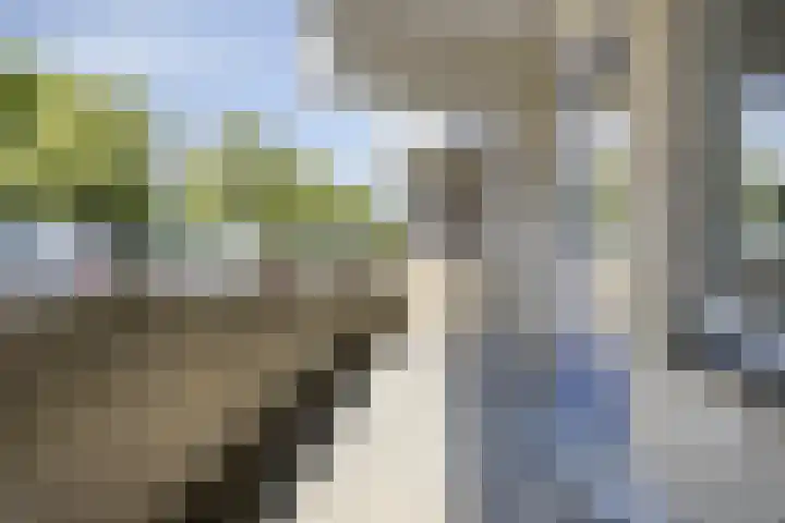 Kobelaan 410 Rotterdam thumbnail 12