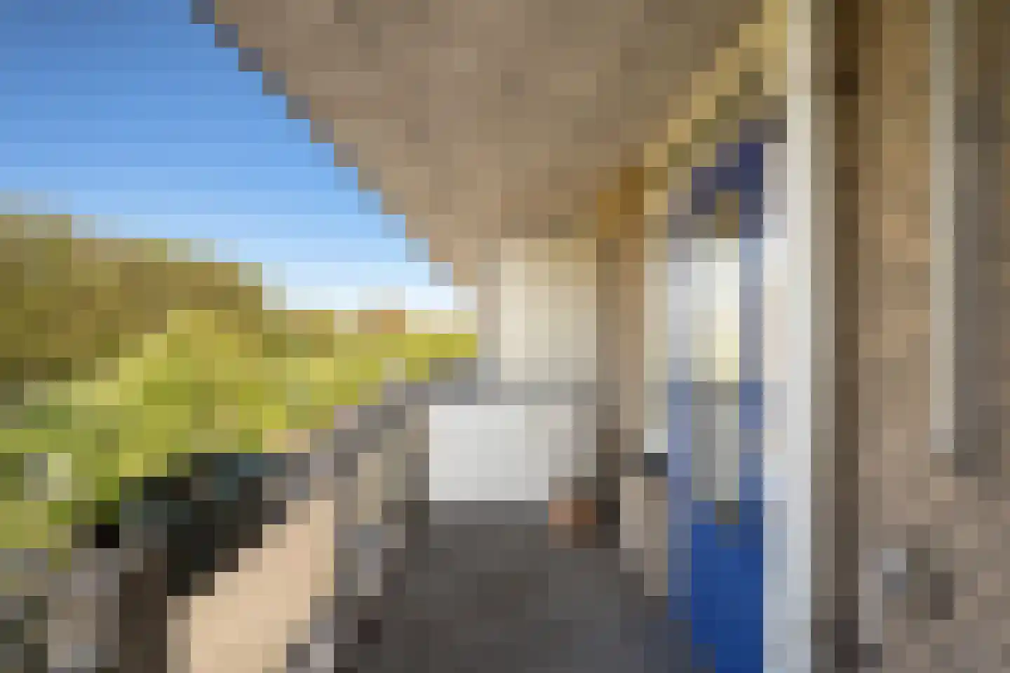 Kobelaan 452 Rotterdam thumbnail 15