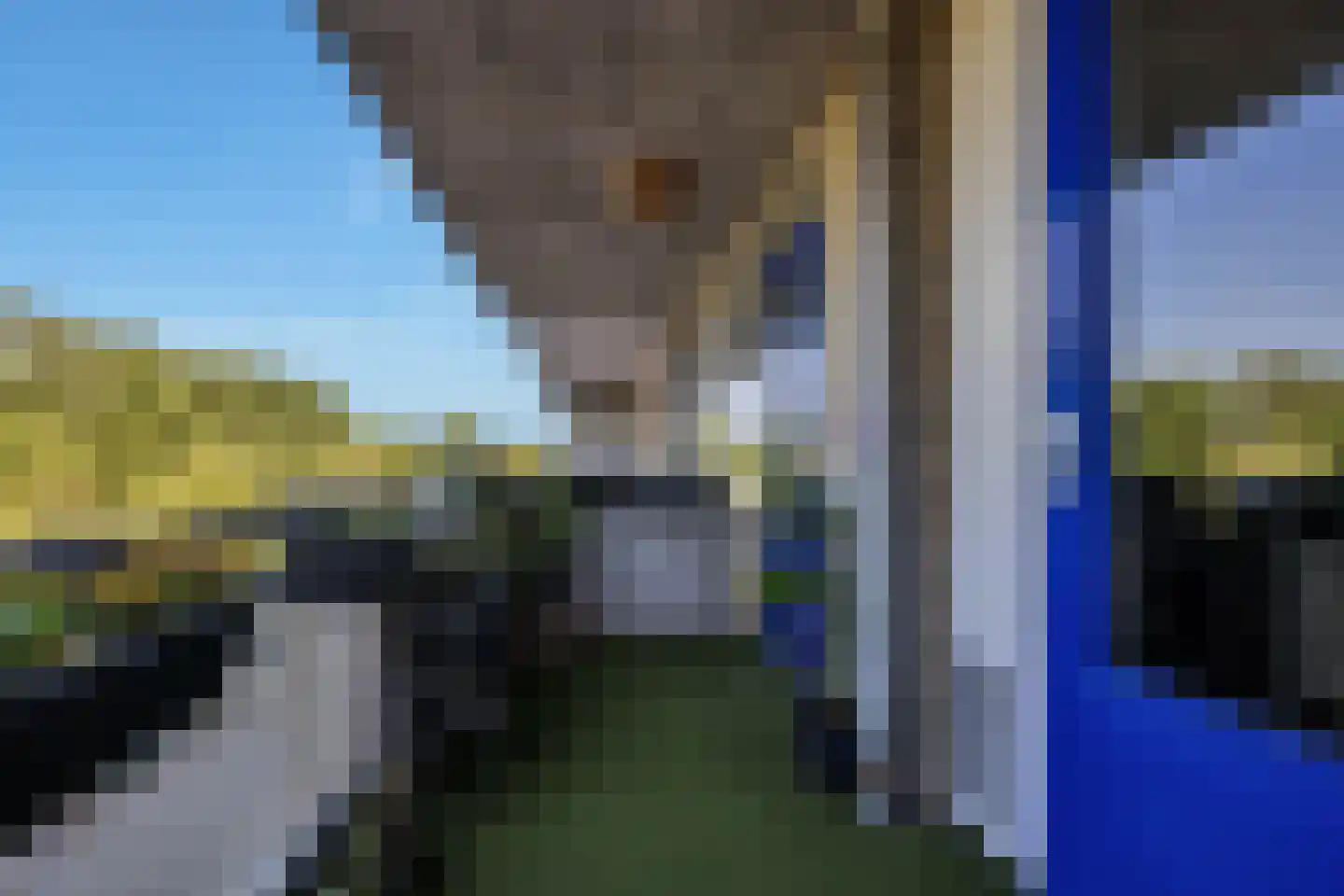 Kobelaan 458 Rotterdam thumbnail 15