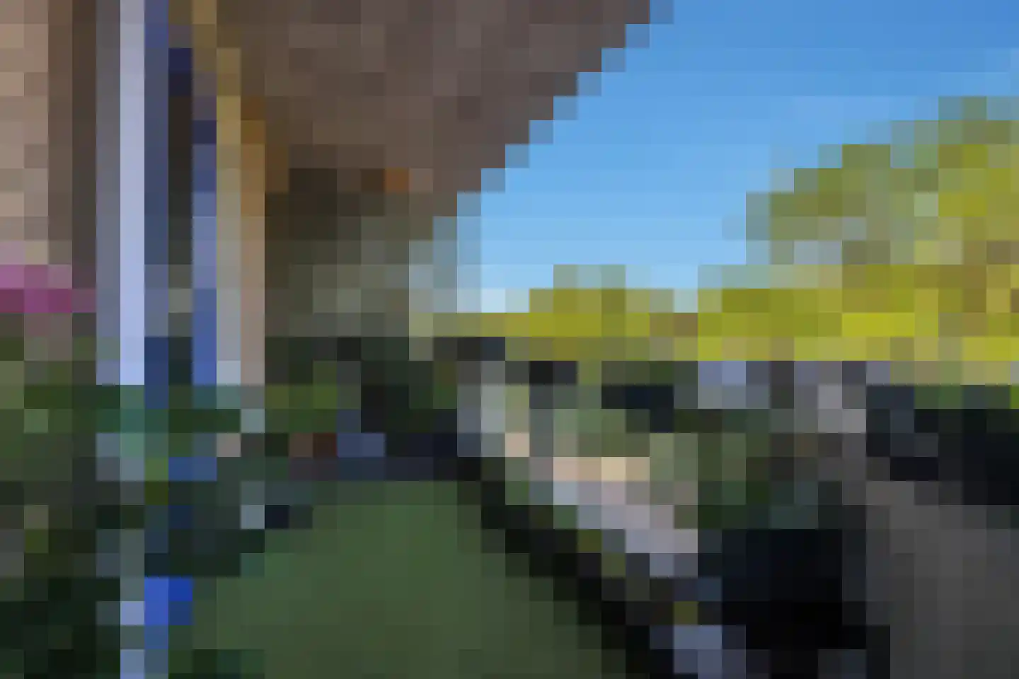 Kobelaan 458 Rotterdam thumbnail 17