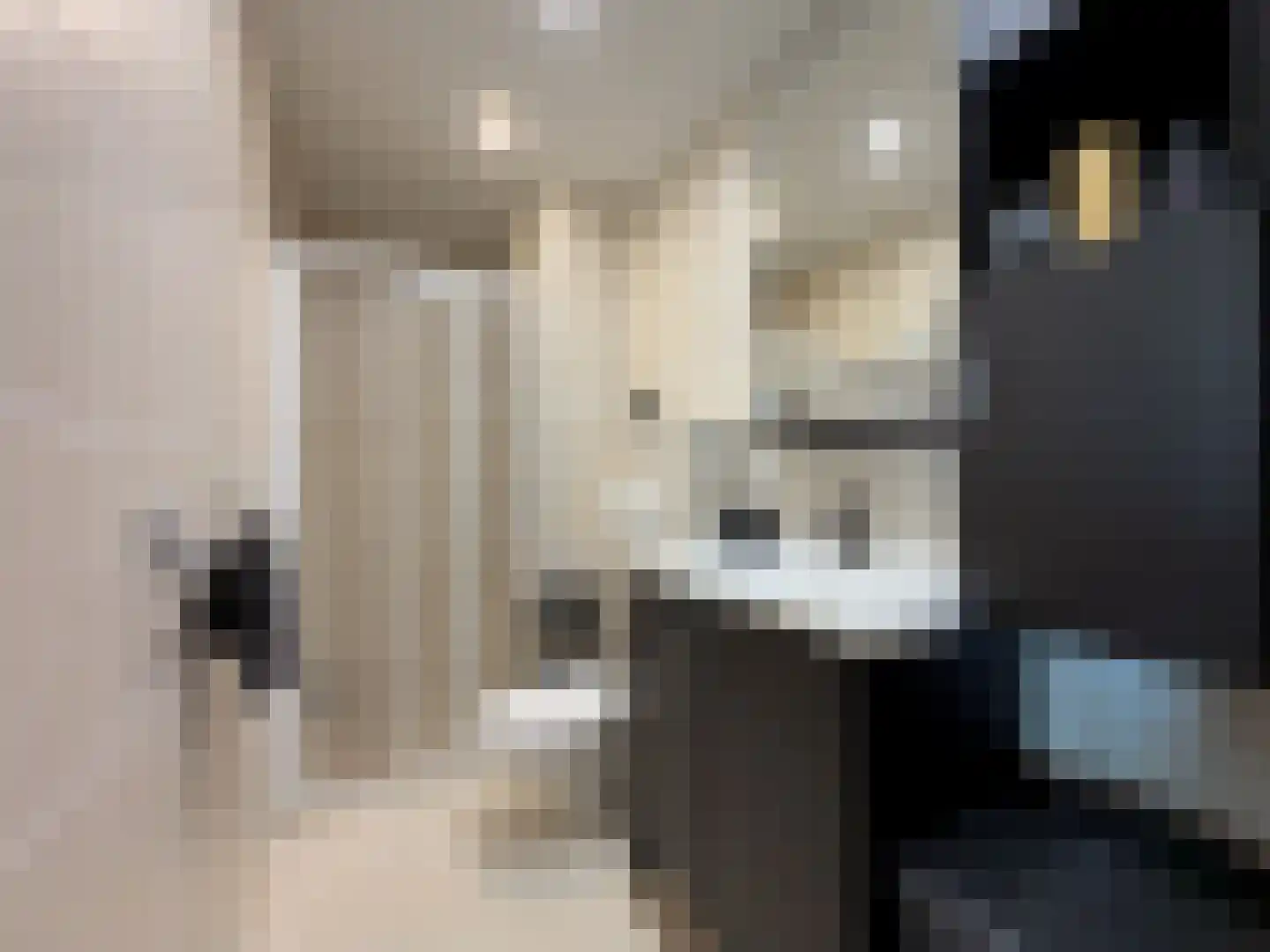 Kobelaan 514 Rotterdam thumbnail 19