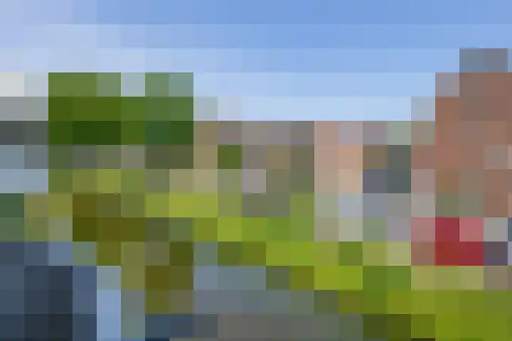 Kobelaan 60 Rotterdam thumbnail 21