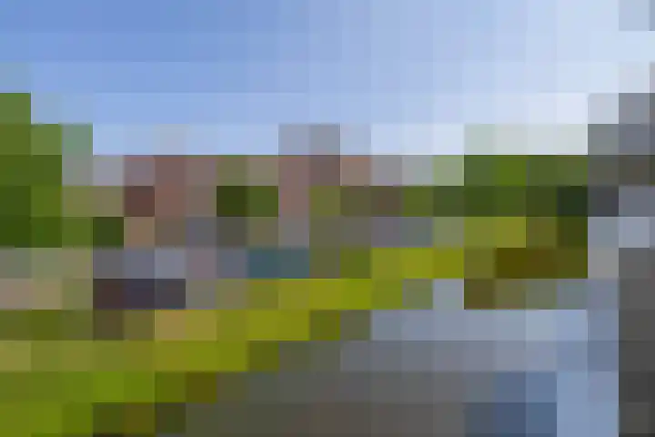 Kobelaan 60 Rotterdam thumbnail 22