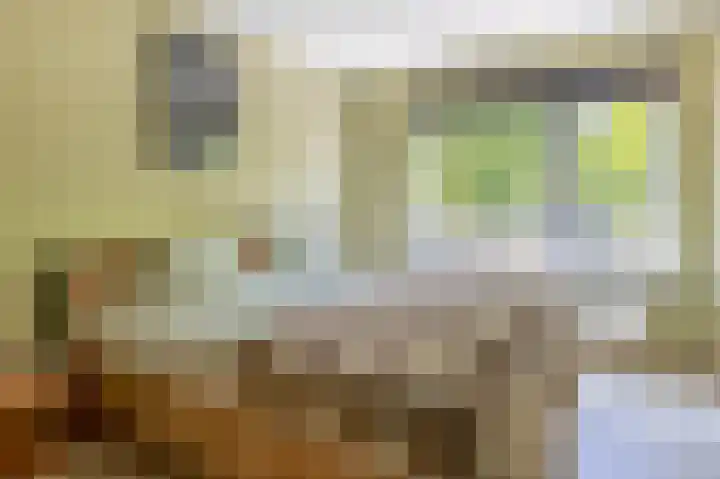 Kobelaan 60 Rotterdam thumbnail 24