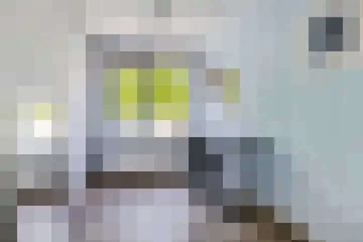 Kobelaan 60 Rotterdam thumbnail 29