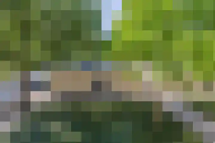 Kobelaan 60 Rotterdam thumbnail 30