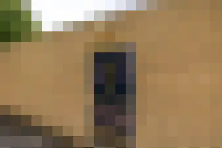 Kobelaan 60 Rotterdam thumbnail 31