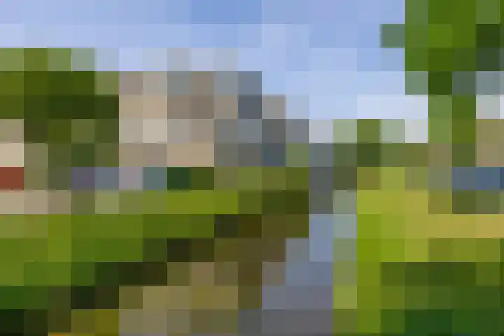 Kobelaan 60 Rotterdam thumbnail 33