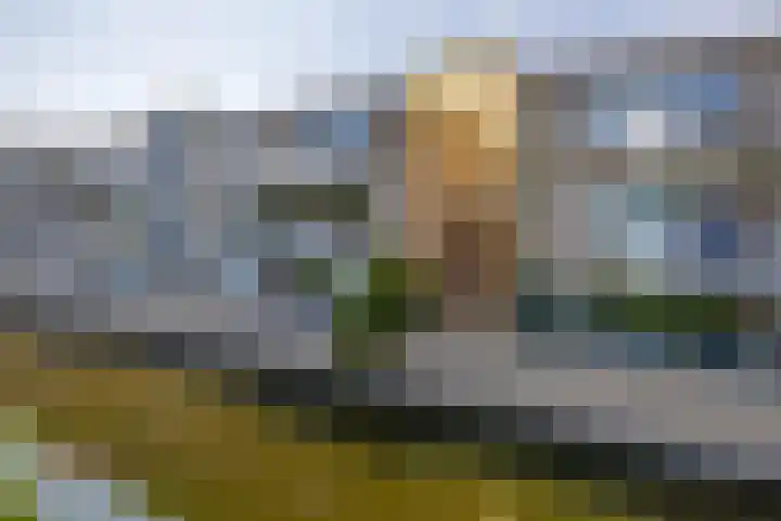 Kobelaan 60 Rotterdam thumbnail 35